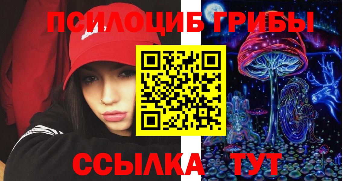 Новоалександровск  Галлюциногенные грибы Magic Shrooms  Вход с VPN  Галлюциногенные грибы Psilocybe 