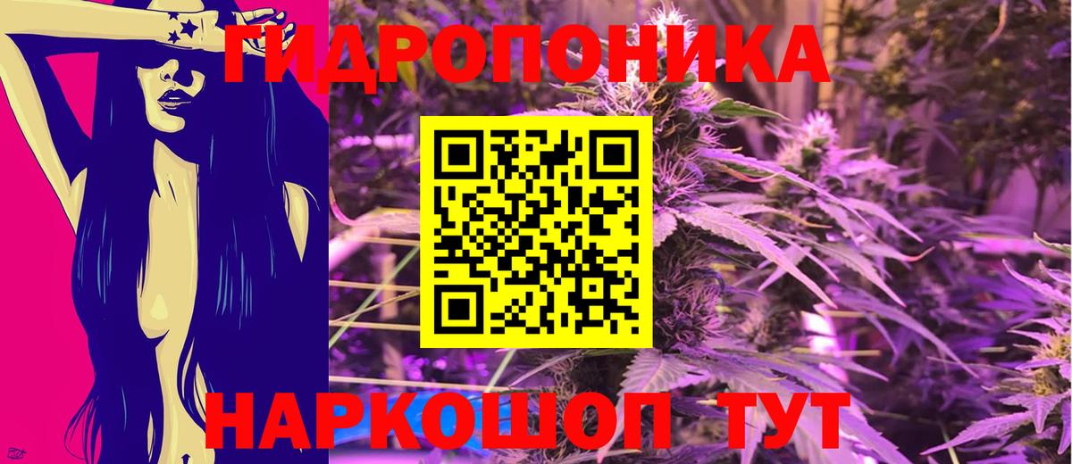 Новоалександровск  Марихуана индика  Вход с VPN  Бошки марихуана Ganja  Бошки Шишки планчик  Шишки марихуана конопля 